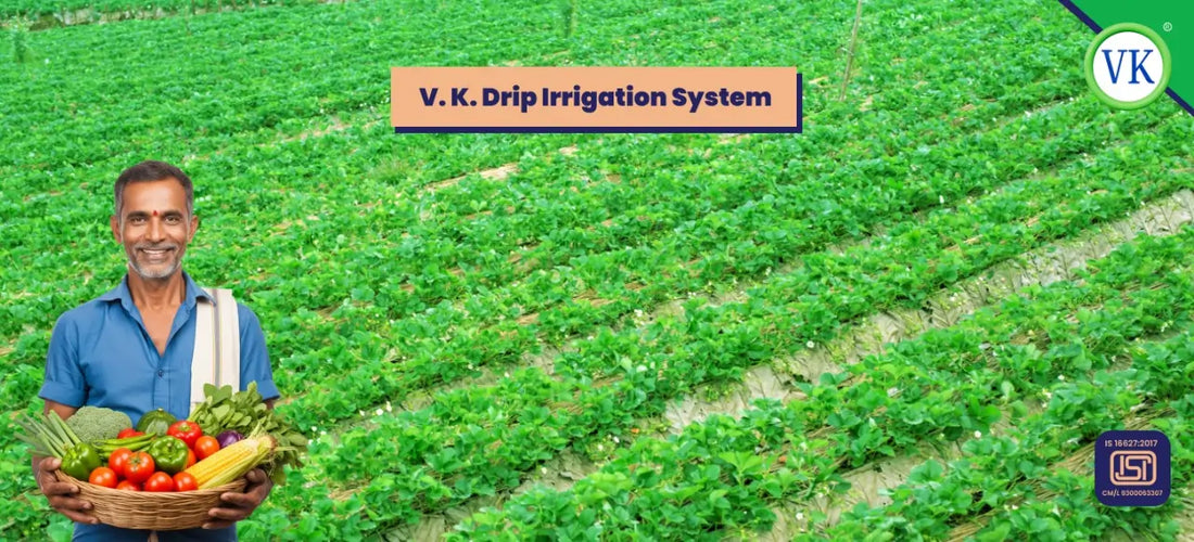 VK Sarvottam HDPE Lapeta Pipes for Drip & Micro Irrigation – ISI Certified, Leakproof, and Durable Farming Solution