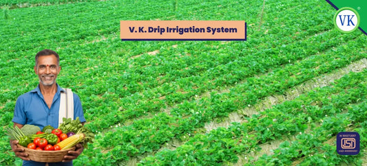 VK Sarvottam HDPE Lapeta Pipes for Drip & Micro Irrigation – ISI Certified, Leakproof, and Durable Farming Solution